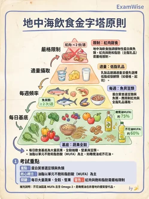營養 - 高血壓與心血管保護飲食 - AI 圖文解析預覽