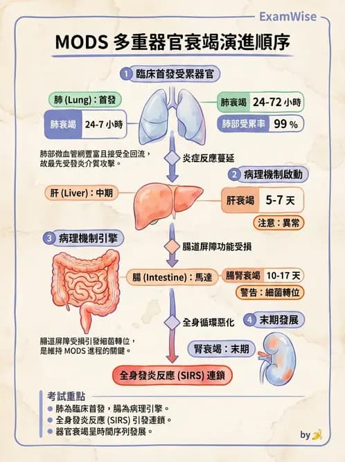 營養 - 燒燙傷與外傷重症營養 - AI 圖文解析預覽