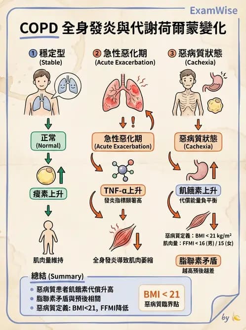營養 - 呼吸系統疾病 - AI 圖文解析預覽