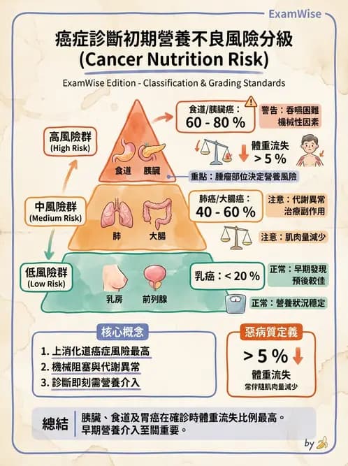 營養 - 癌症營養 - AI 圖文解析預覽