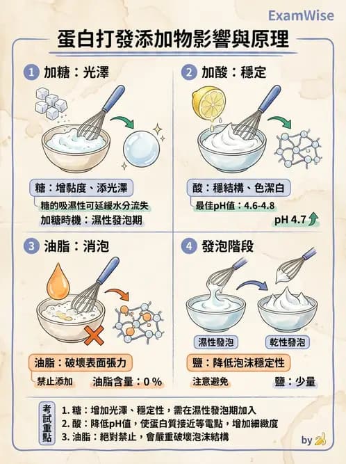 營養 - 動植物性食材製備原理 - AI 圖文解析預覽