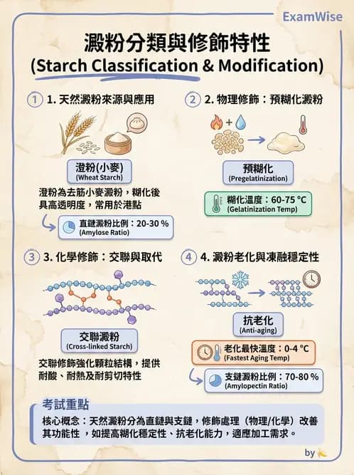 營養 - 穀類、澱粉與麵粉製備原理 - AI 圖文解析預覽