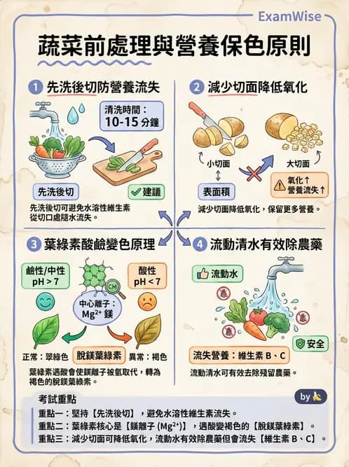 營養 - 動植物性食材製備原理 - AI 圖文解析預覽