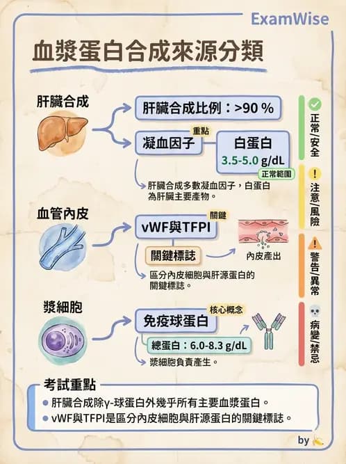 營養 - 血液與免疫 - AI 圖文解析預覽