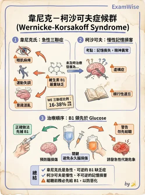 營養 - 能量代謝相關B群維生素 - AI 圖文解析預覽
