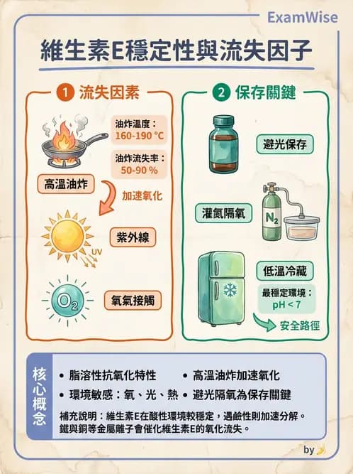 營養 - 維生素E - AI 圖文解析預覽