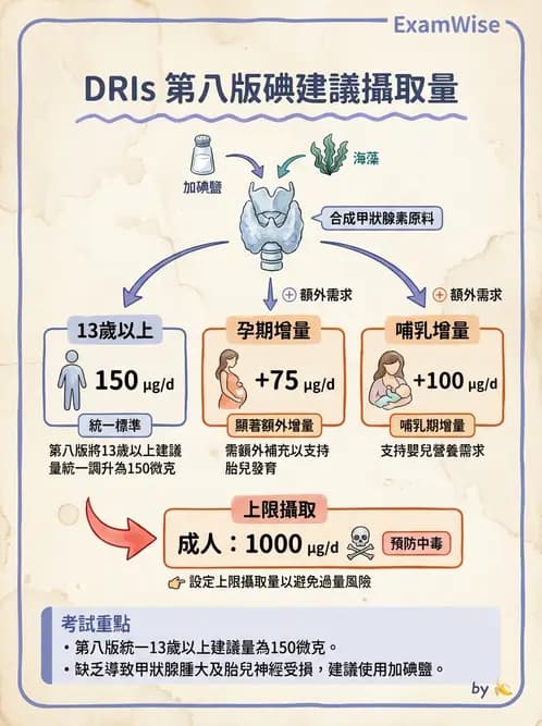 營養 - 碘與硒營養 - AI 圖文解析預覽