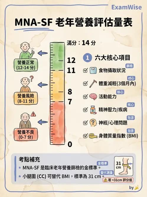 營養 - 營養篩檢與評估量表 - AI 圖文解析預覽