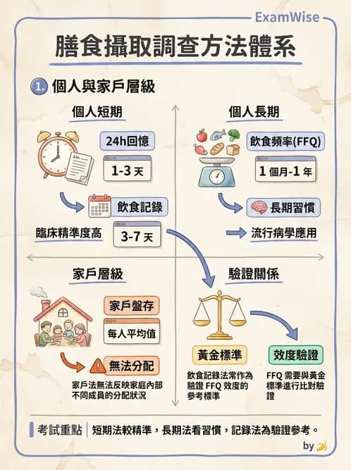 營養 - 膳食調查方法 - AI 圖文解析預覽
