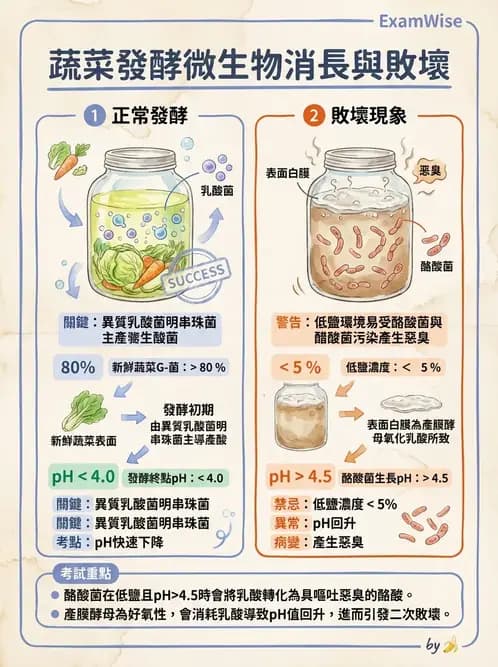 營養 - 食品腐敗微生物學 - AI 圖文解析預覽