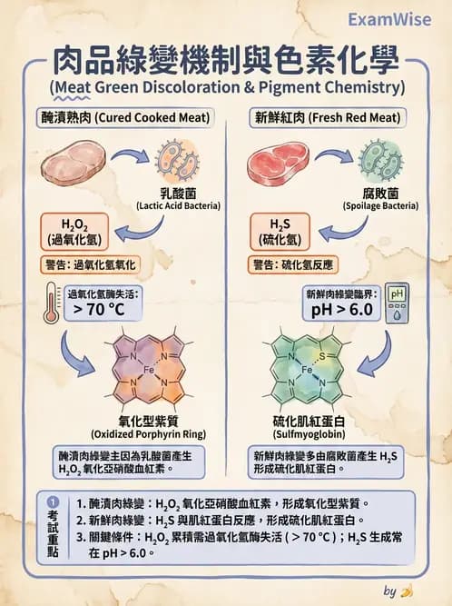 營養 - 食品腐敗微生物學 - AI 圖文解析預覽