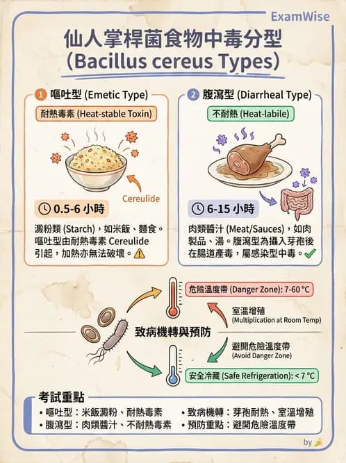 營養 - 食源性病原微生物 - AI 圖文解析預覽