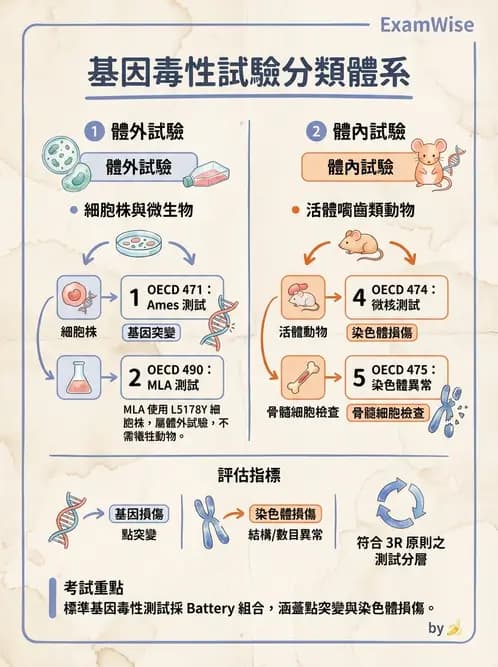 營養 - 食品安全性評估 - AI 圖文解析預覽
