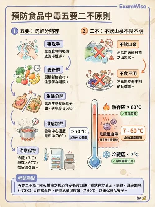 營養 - 餐飲人員衛生與操作規範 - AI 圖文解析預覽