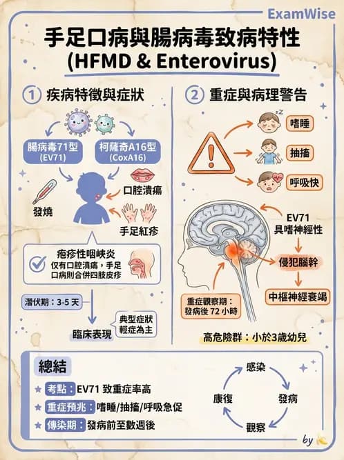 營養 - 食源性病原微生物 - AI 圖文解析預覽