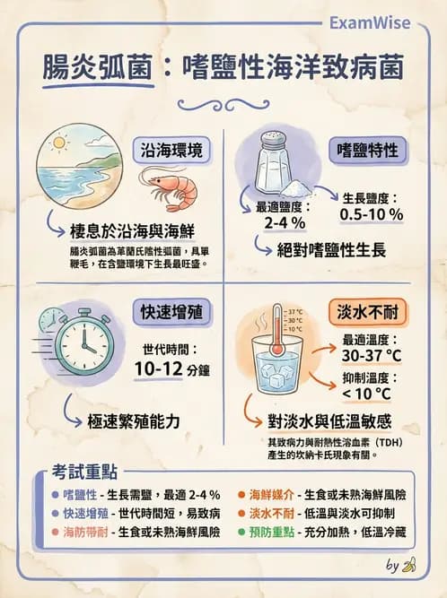 營養 - 食源性病原微生物 - AI 圖文解析預覽