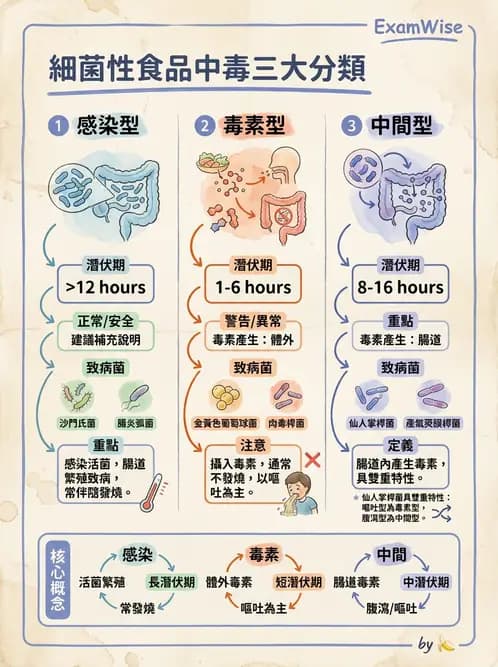 營養 - 食品腐敗微生物學 - AI 圖文解析預覽