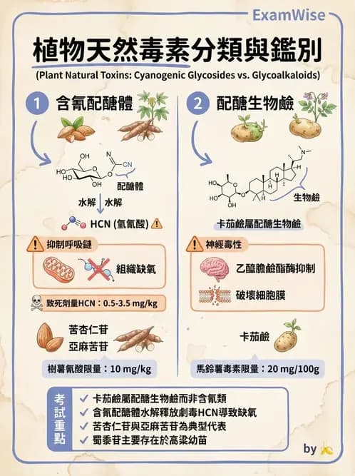 營養 - 天然毒素 - AI 圖文解析預覽