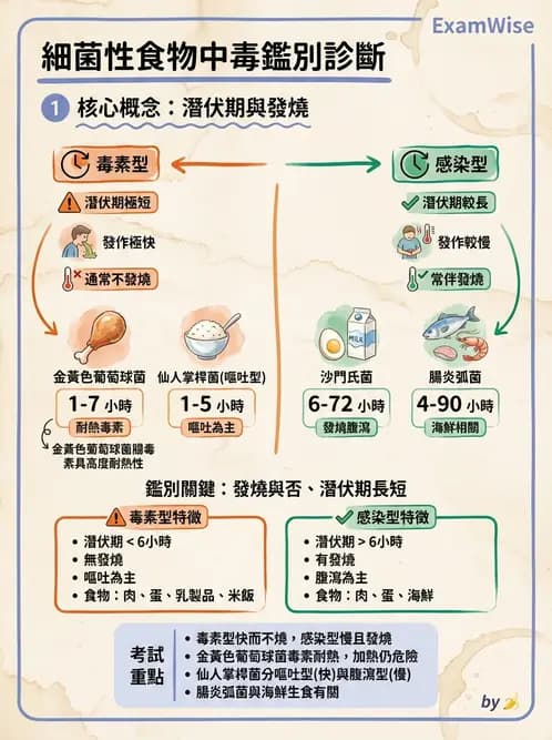 營養 - 食源性病原微生物 - AI 圖文解析預覽