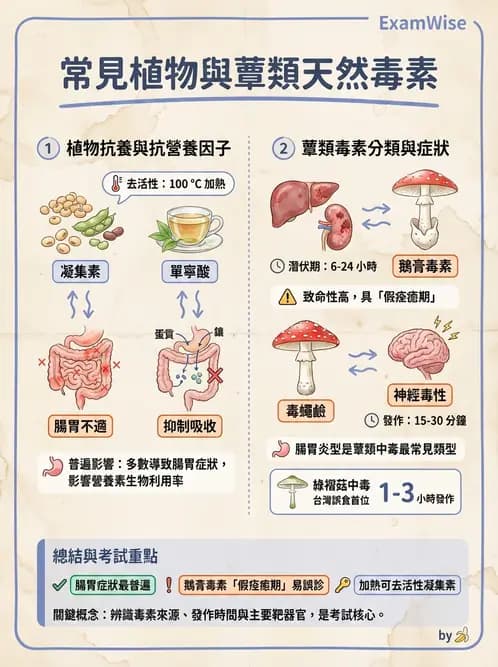 營養 - 天然毒素 - AI 圖文解析預覽