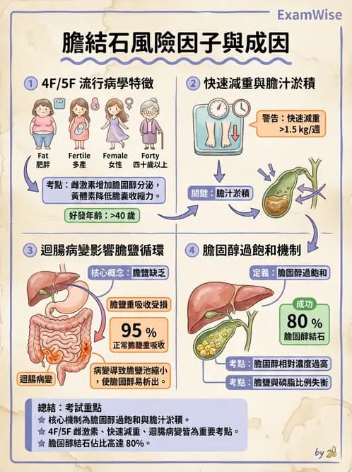 營養 - 肝膽疾病 - AI 圖文解析預覽