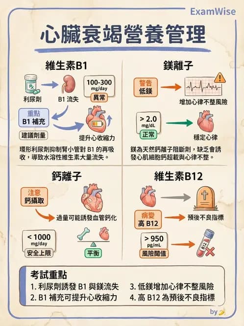 營養 - 心臟衰竭、移植與血脂管理 - AI 圖文解析預覽