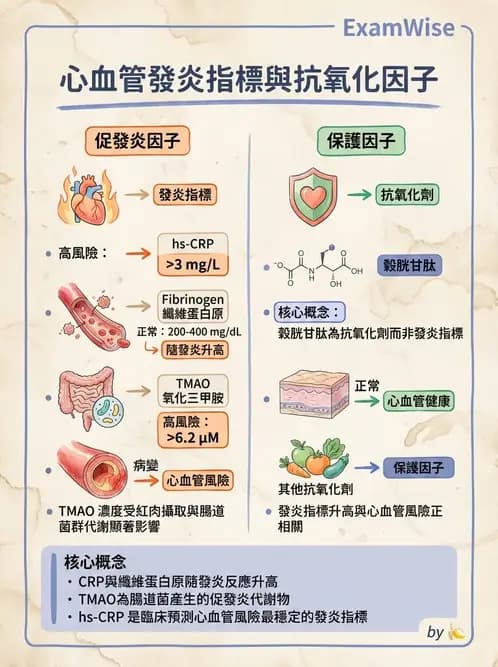 營養 - 心臟衰竭、移植與血脂管理 - AI 圖文解析預覽