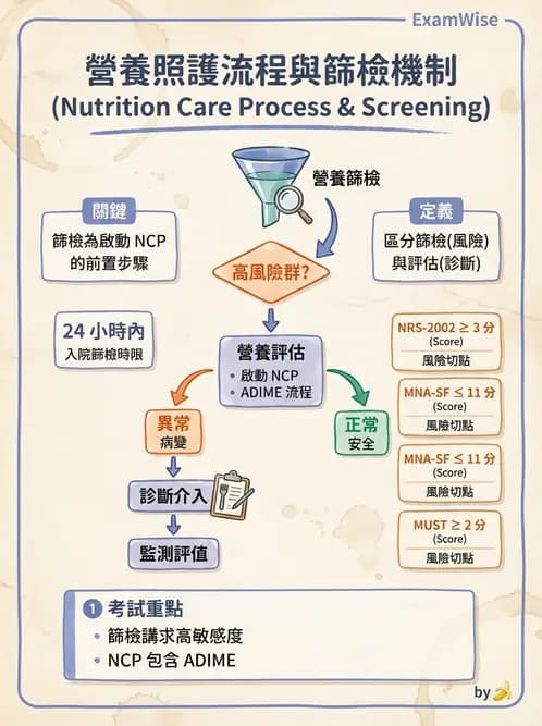 營養 - 營養評估與照護程序 - AI 圖文解析預覽