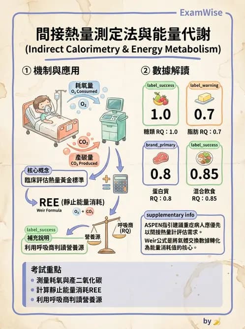 營養 - 營養評估與照護程序 - AI 圖文解析預覽
