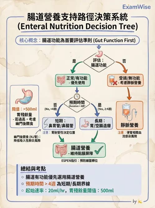 營養 - 營養支持 - AI 圖文解析預覽