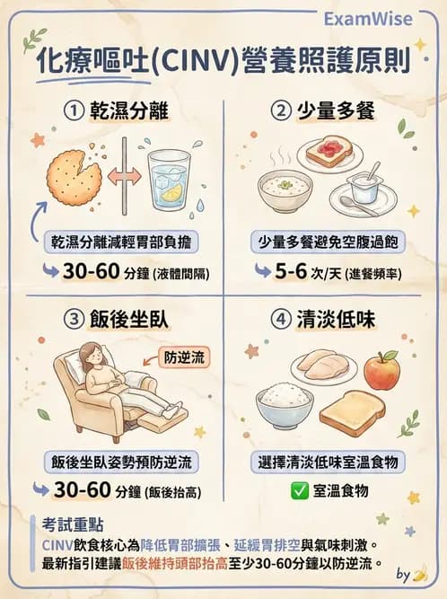 營養 - 癌症營養 - AI 圖文解析預覽