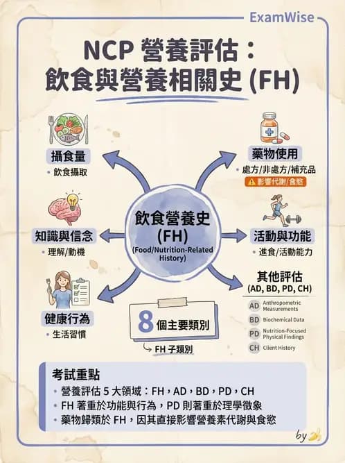 營養 - 營養評估與照護程序 - AI 圖文解析預覽