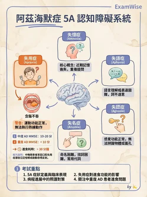 營養 - 老人營養與長期照護 - AI 圖文解析預覽
