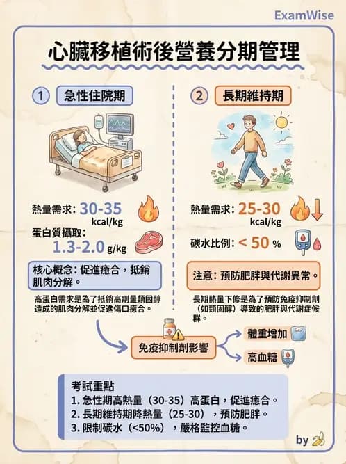 營養 - 心臟衰竭、移植與血脂管理 - AI 圖文解析預覽