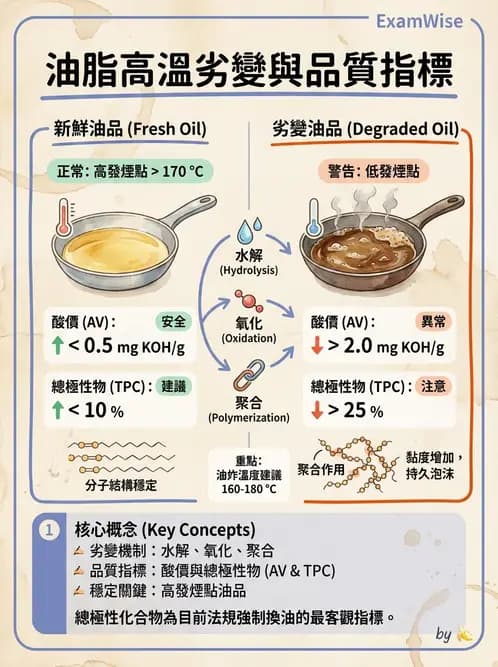 營養 - 烹調技法、油脂品質與供應管理 - AI 圖文解析預覽