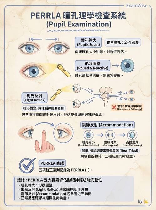 專師 - 眼耳鼻喉外科 - AI 圖文解析預覽