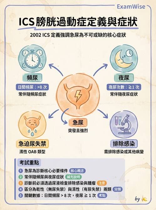 專師 - 尿失禁與排尿障礙 - AI 圖文解析預覽