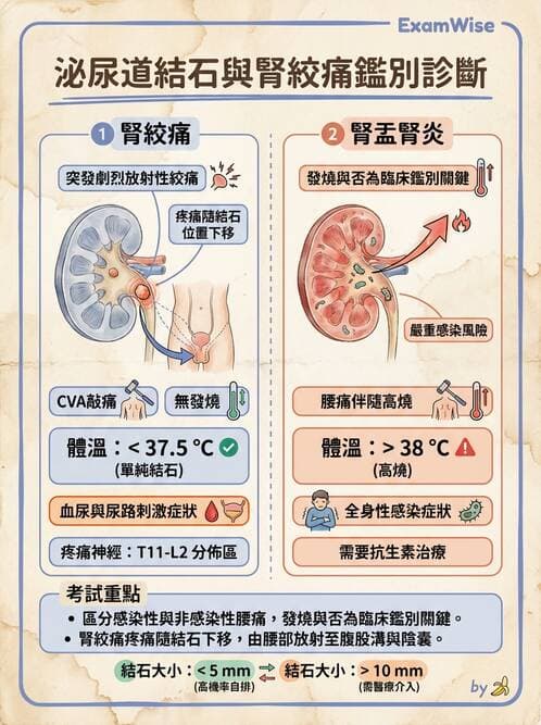 專師 - 泌尿道結石 - AI 圖文解析預覽