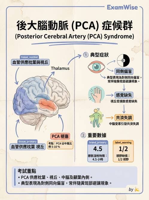 專師 - 腦血管疾病 - AI 圖文解析預覽