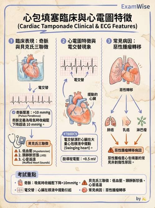 專師 - 心包膜與心肌疾病 - AI 圖文解析預覽