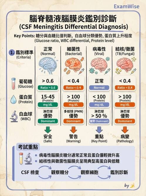 專師 - 中樞神經感染 - AI 圖文解析預覽
