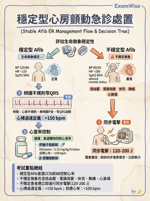 專師 - 心律不整與ECG判讀 - AI 圖文解析預覽