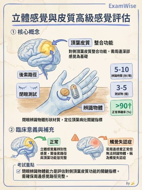 專師 - 腦神經檢查與神經學評估 - AI 圖文解析預覽