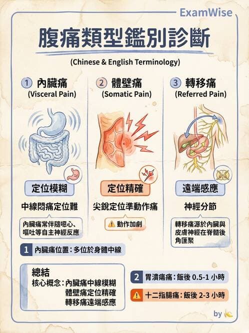 專師 - 上消化道 - AI 圖文解析預覽