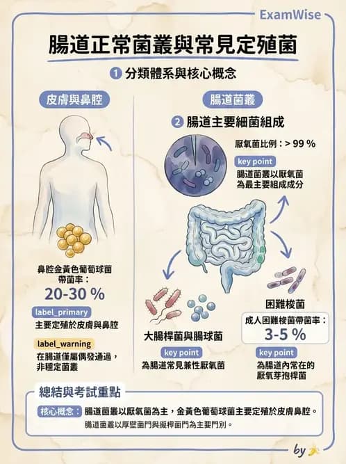 專師 - 院內感染與感控 - AI 圖文解析預覽
