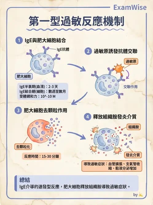 營養 - 血液與免疫 - AI 圖文解析預覽