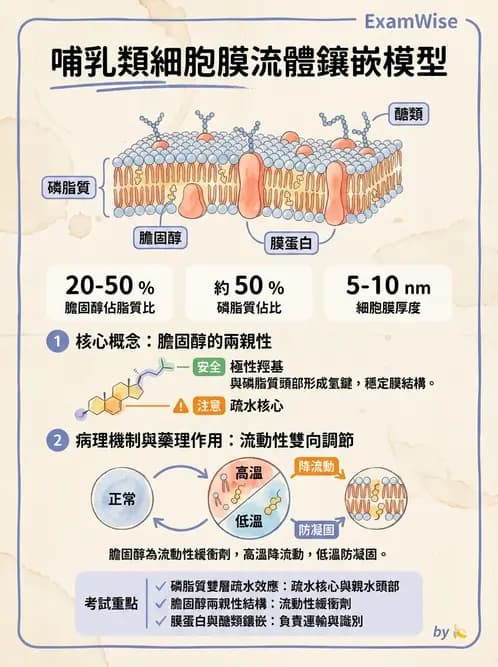 營養 - 細胞生理學 - AI 圖文解析預覽