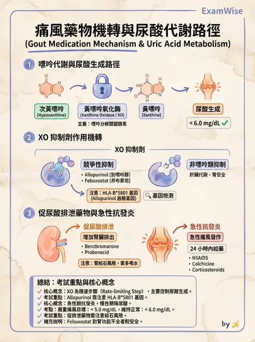 營養 - 核酸與基因表現 - AI 圖文解析預覽