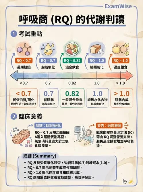 營養 - 能量平衡與食慾控制 - AI 圖文解析預覽