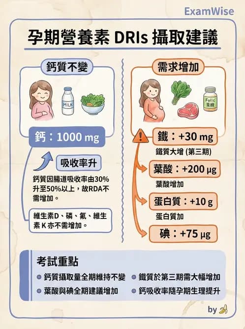 營養 - DRIs與飲食指南 - AI 圖文解析預覽